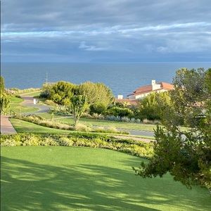 Meet your Posher, Adrian